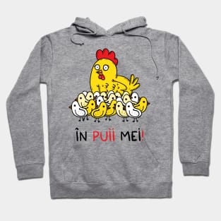 In puii mei Hoodie